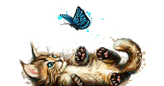 Как котенок искал друзей