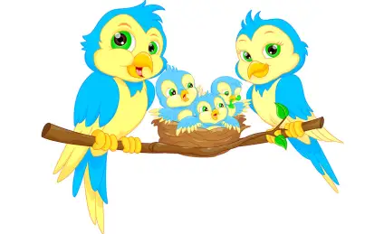 Птенчик Лили, который боялся летать