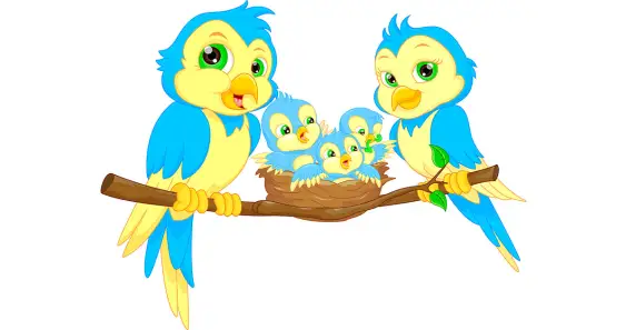 Птенчик Лили, который боялся летать