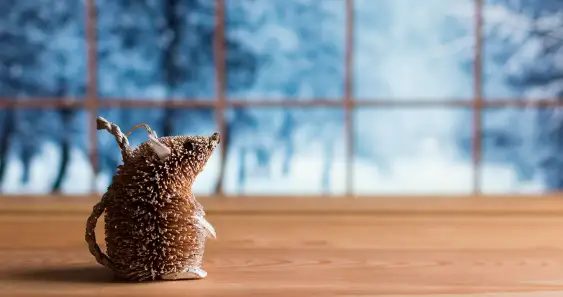 Сухарик и Новый год