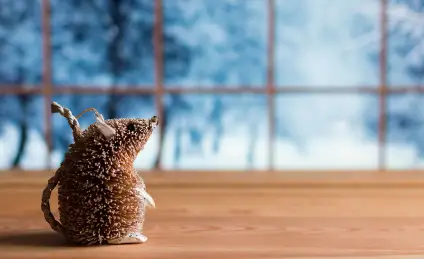 Сухарик и Новый год