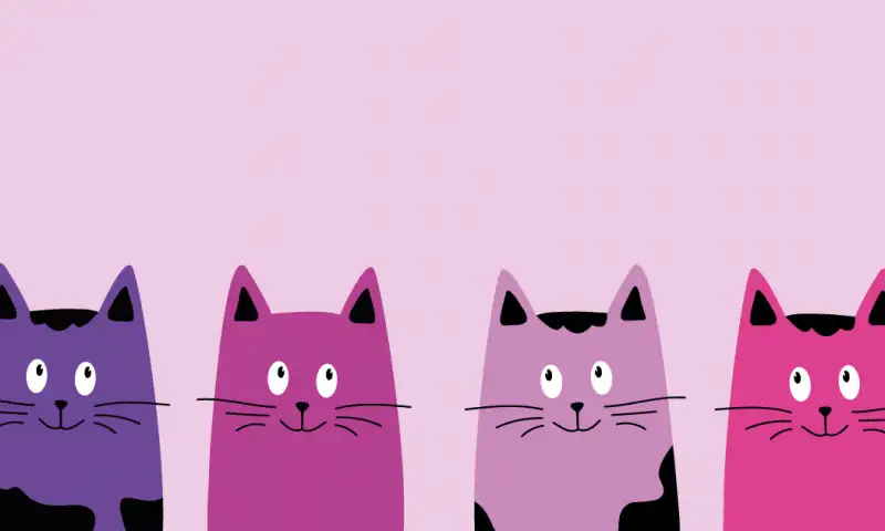 О коте Марсе
