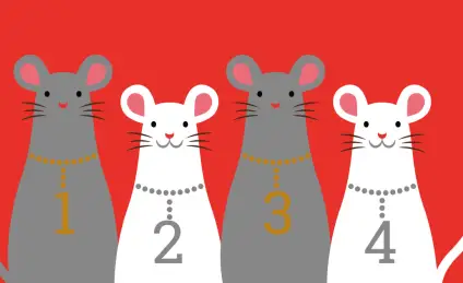 Сказка о сестрах-мышатах