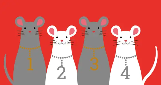 Сказка о сестрах-мышатах