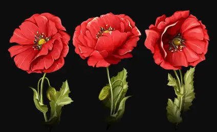 Злая  радость