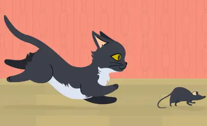 Котёнок-тигрёнок