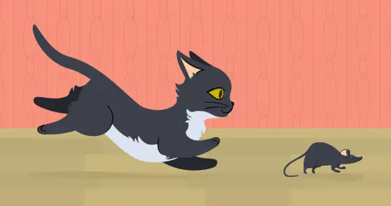 Котёнок-тигрёнок