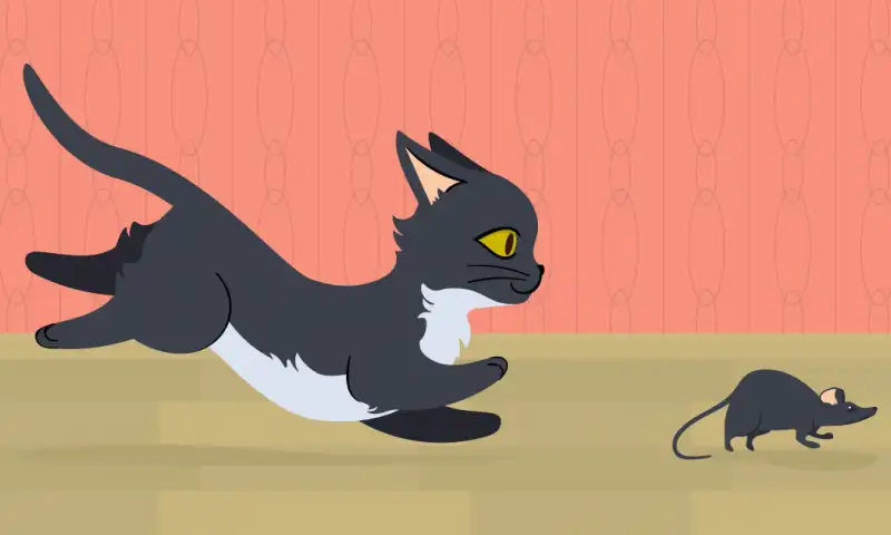 Котёнок-тигрёнок