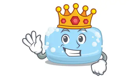 Путешествие в страну Чистюль