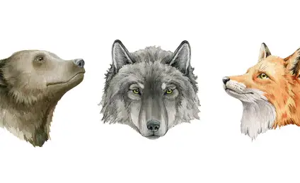 Заколдованная тропинка