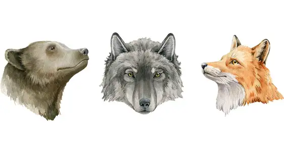 Заколдованная тропинка