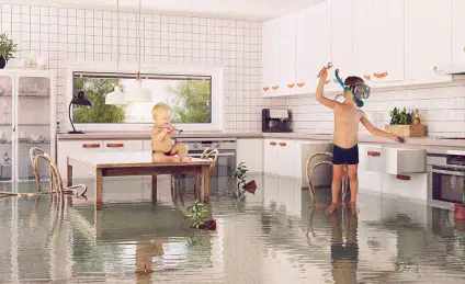 Как Митя, Гоша и пёс стали аквалангистами