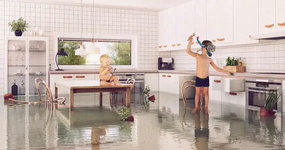 Как Митя, Гоша и пёс стали аквалангистами