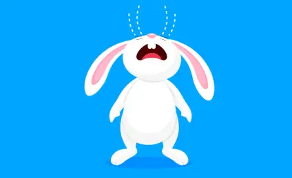 Зайка Ворчуша