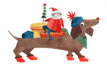 Радужный камень