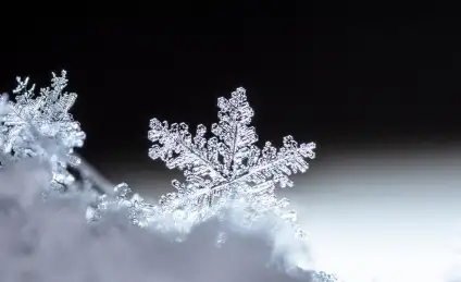 Путешествие снежинки