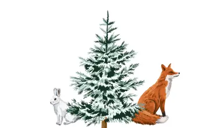 Как заяц лису обманул в зимнем лесу