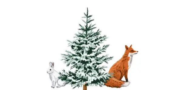 Как заяц лису обманул в зимнем лесу