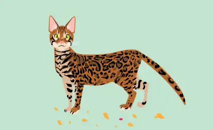 Трусливый котёнок