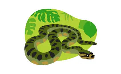 Шуба для змеи