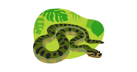 Шуба для змеи