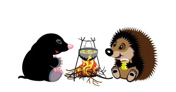 Как маленькая Ежиха узнала, что такое дружба