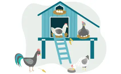 Как Ежиха друзей искала