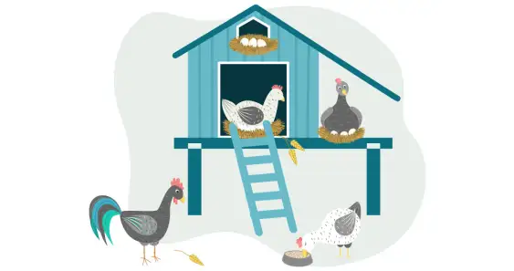 Как Ежиха друзей искала