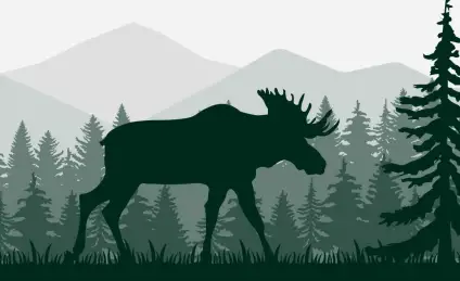 Как лоси у лесника гостили, или Каникулы в уральском лесу