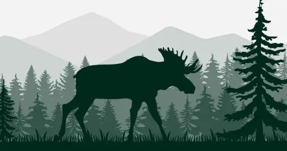 Как лоси у лесника гостили, или Каникулы в уральском лесу