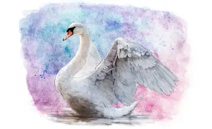 Храбрый лебедь и друг-музыкант