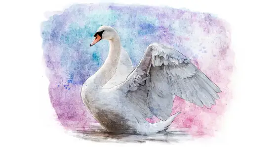 Храбрый лебедь и друг-музыкант