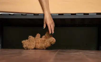 Жизнь из-за комода, или Мишка ― старый новый друг