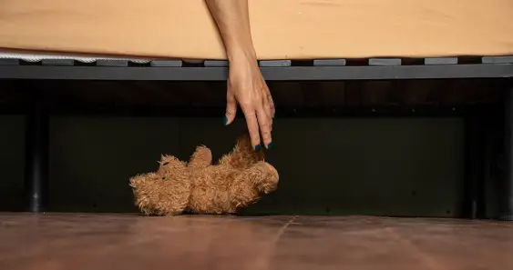 Жизнь из-за комода, или Мишка ― старый новый друг