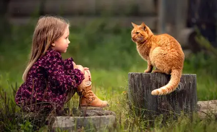 Доброе сердечко и рыжий кот