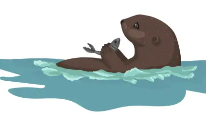 Почему бобры с выдрами не дружат