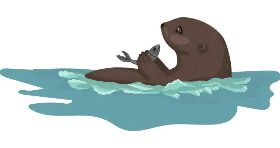 Почему бобры с выдрами не дружат