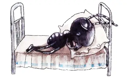 Маленький муравьишка, или Хочешь от других добра ― начинай с себя