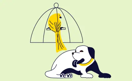 Как щенок за земляникой в лес ходил