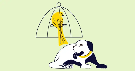 Как щенок за земляникой в лес ходил