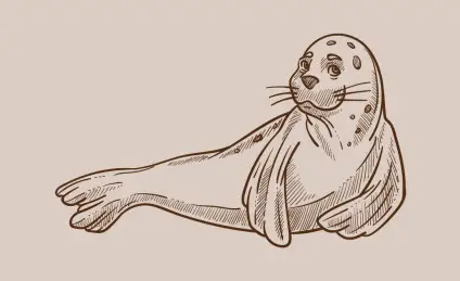 Чудеса холодного моря, или Непростой тюленёнок