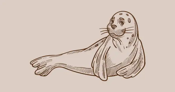 Чудеса холодного моря, или Непростой тюленёнок