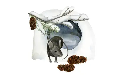 Сухарик и зимний лес