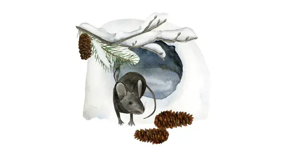 Сухарик и зимний лес