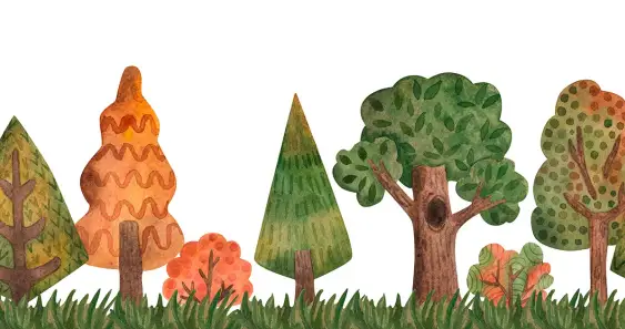 Как маленькая Ёлочка полюбила свои колючки