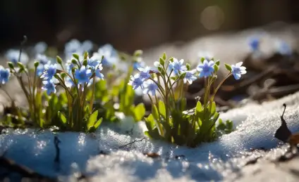 Сказка о весне, или Куда исчезают снежинки
